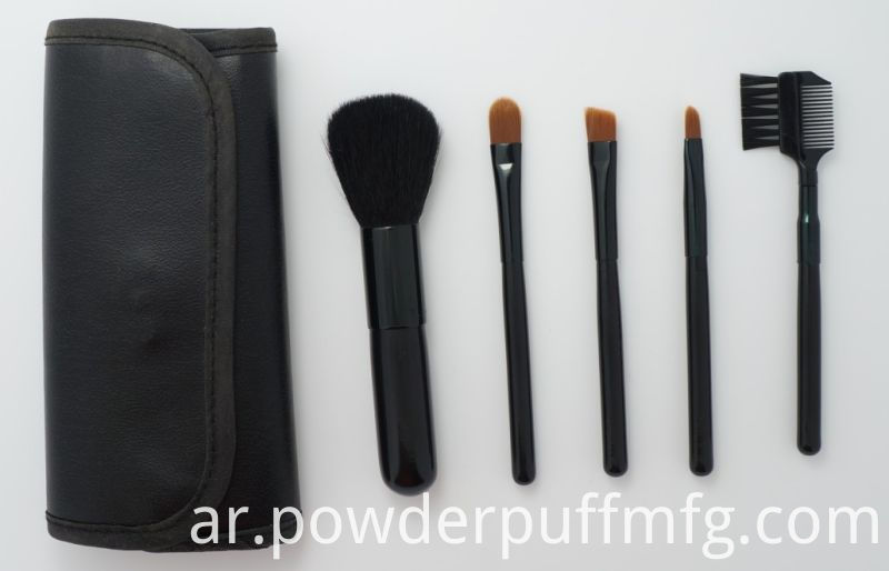 Free Sample 5PCS Black Nylon Cosmetic Brush Set